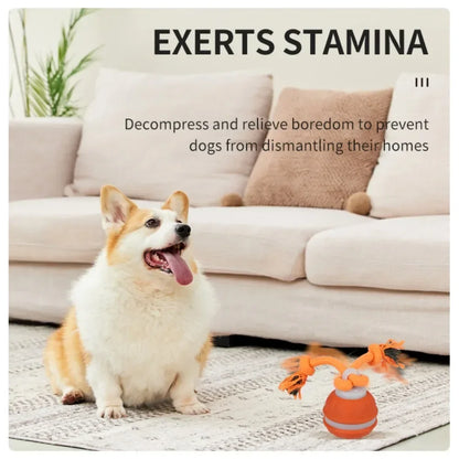 Interactive Rolling Dog Ball, USB Rechargeable Motion Activated Toy