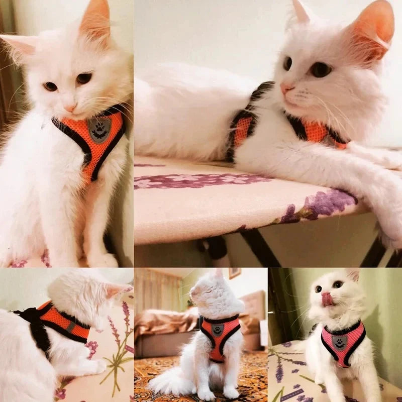 adjustable mesh vest harness & leash - breathable for cats & dogs