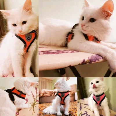 Adjustable Mesh Vest Harness & Leash - Breathable for Cats & Dogs