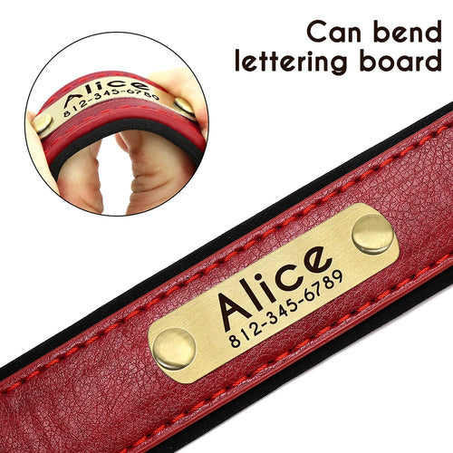 Padded Leather Dog Collar and Leash Set with Custom Nameplate Tag