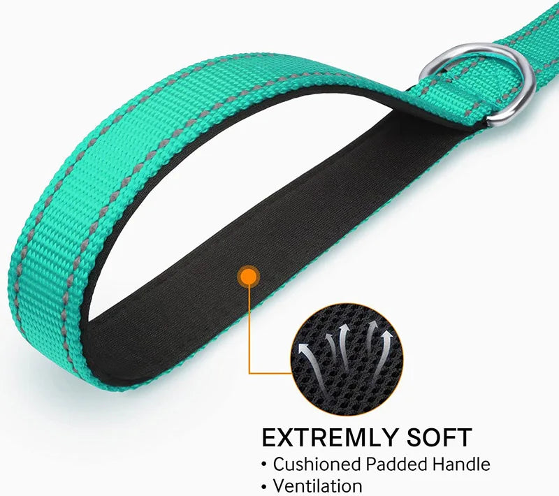 reflective nylon dog leash with comfortable handle for night walks