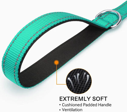 Reflective Nylon Dog Leash with Comfortable Handle for Night Walks