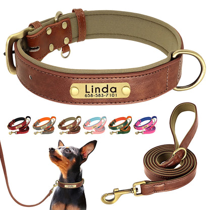 Padded Leather Dog Collar and Leash Set with Custom Nameplate Tag