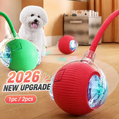 Automatic Rolling Dog Ball Toy - Rechargeable Smart Interactive Toy