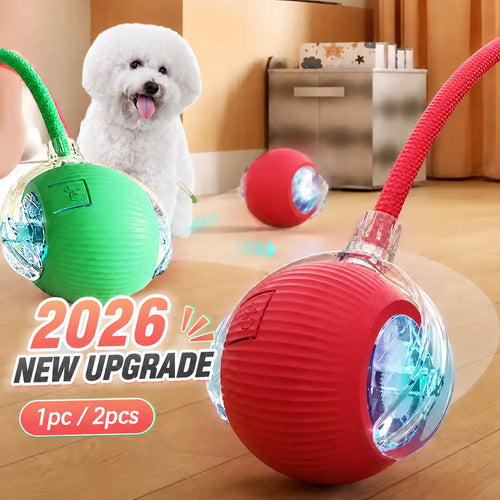 Automatic Rolling Dog Ball Toy - Rechargeable Smart Interactive Toy