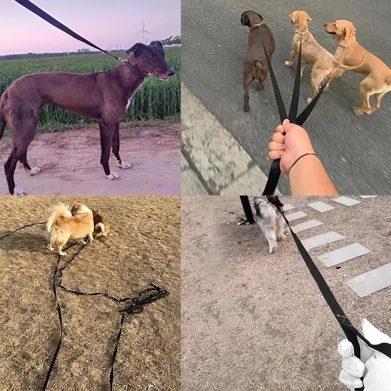 long nylon dog leash - strong lead rope for hiking, walking & travel