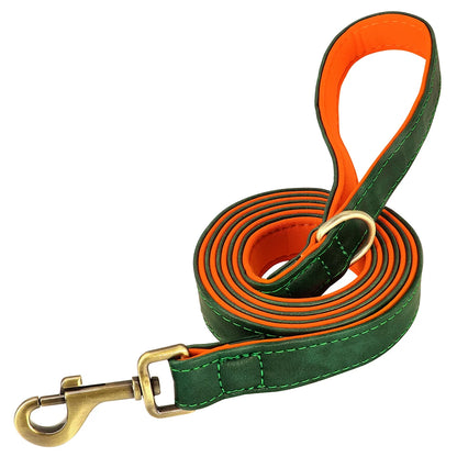 Padded Leather Dog Collar and Leash Set with Custom Nameplate Tag