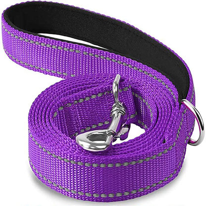 Reflective Nylon Dog Leash with Comfortable Handle for Night Walks