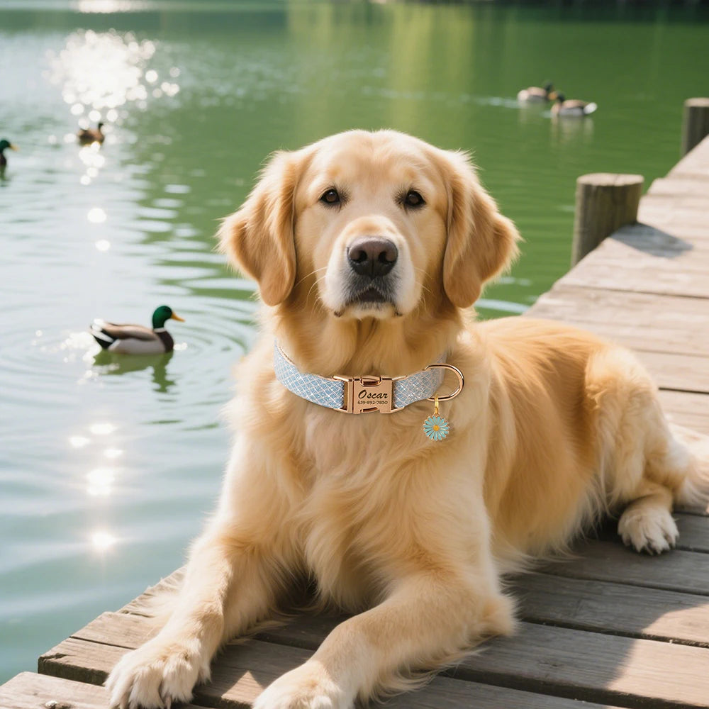 personalized bling dog collar - free engraved id tag & flower charm