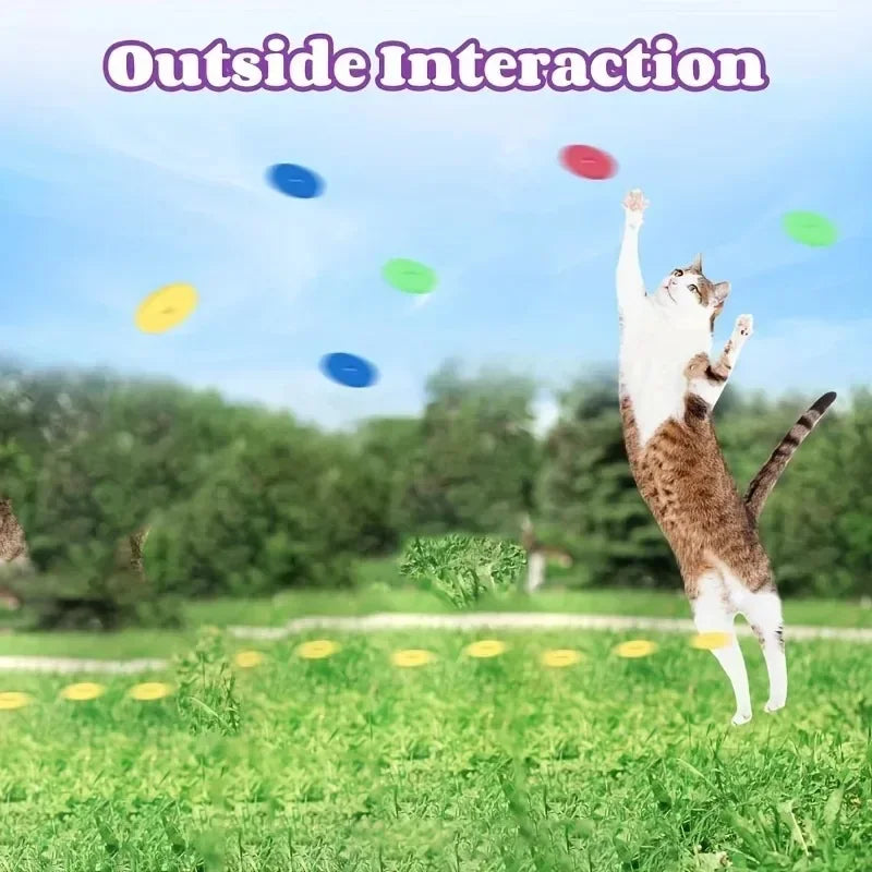 turnip frisbee launcher – interactive cat & dog chasing toy set