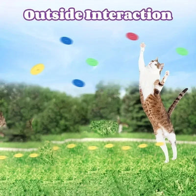 Turnip Frisbee Launcher – Interactive Cat & Dog Chasing Toy Set