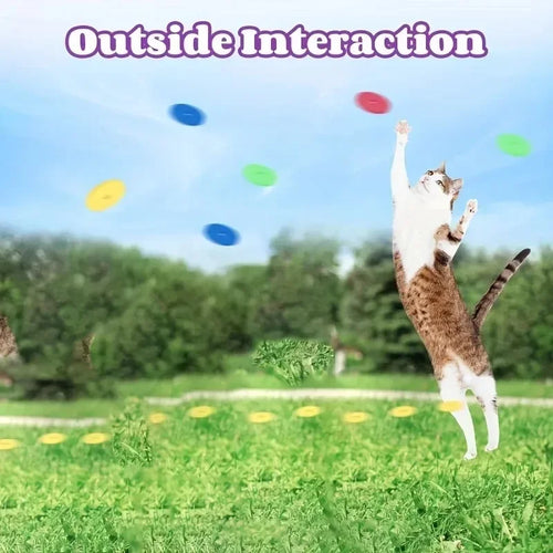Turnip Frisbee Launcher – Interactive Cat & Dog Chasing Toy Set