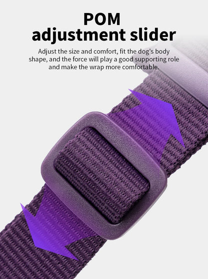 No-Pull Dog Harness - Reflective, Padded & Adjustable with Handle