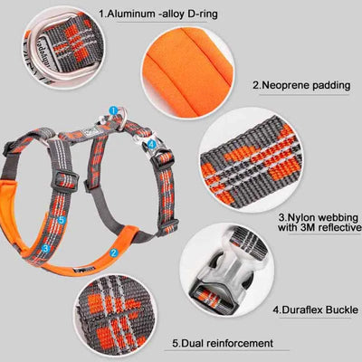 Padded Nylon Pet Harness Vest for Outdoor Walking, Running, Climbing