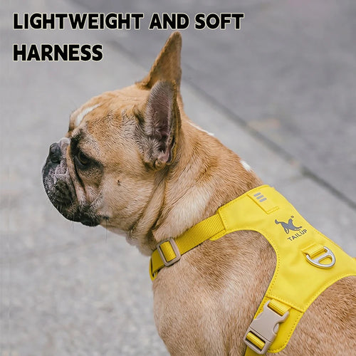 Lightweight Dog Harness & Leash Set - Anti-Pull, Escape-Proof Fit