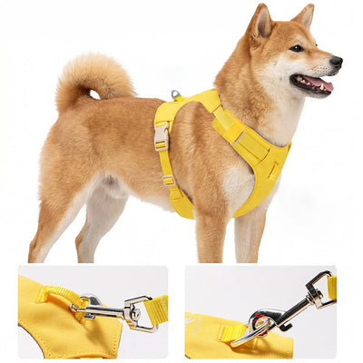 Lightweight Dog Harness & Leash Set - Anti-Pull, Escape-Proof Fit