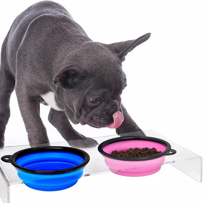 Folding Silicone Dog Bowl with Carabiner – Portable Travel Feeder