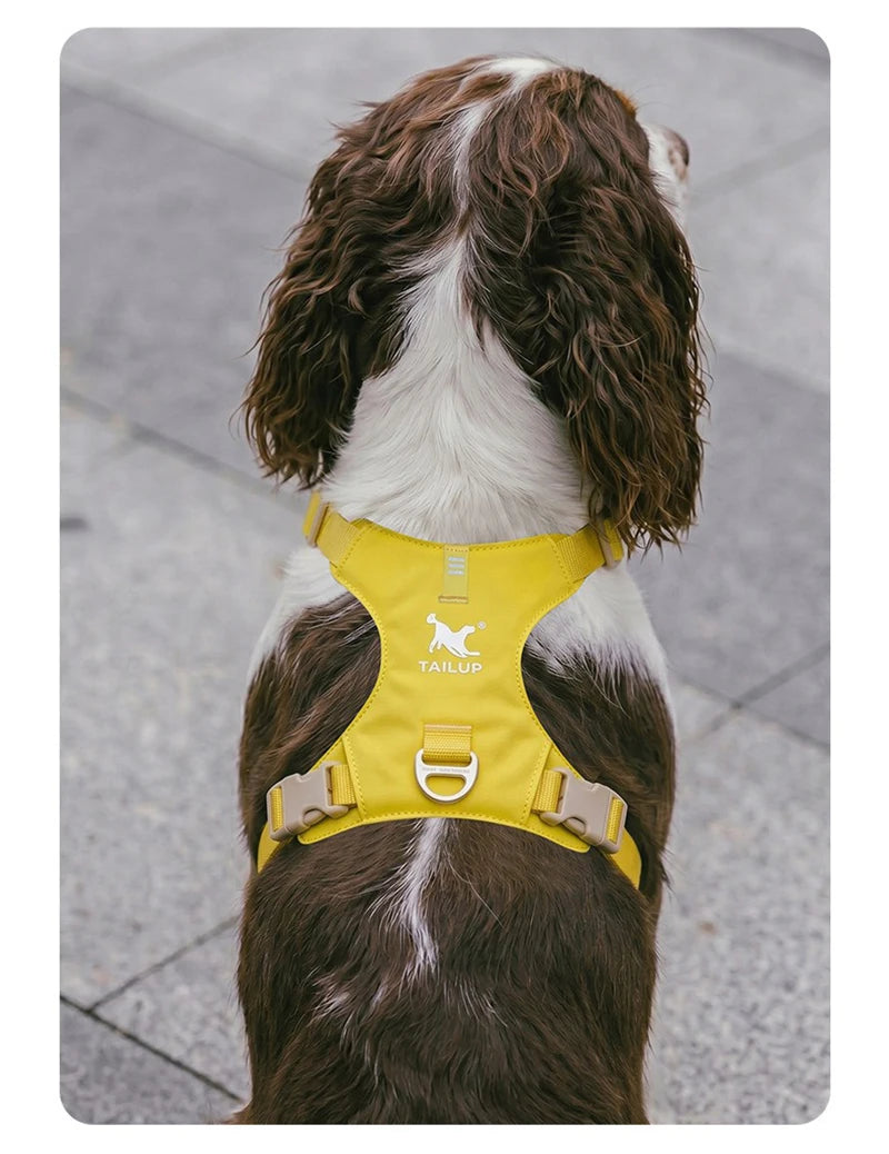 lightweight dog harness & leash set - anti-pull, escape-proof fit