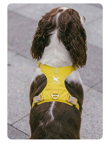 Lightweight Dog Harness & Leash Set - Anti-Pull, Escape-Proof Fit