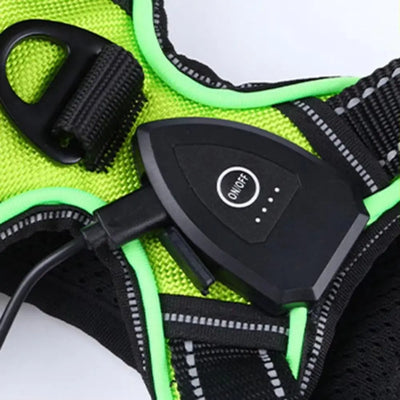 Rechargeable LED Dog Harness, Adjustable Light Up Glow Vest for Dogs