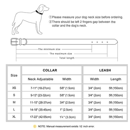 Padded Leather Dog Collar and Leash Set with Custom Nameplate Tag