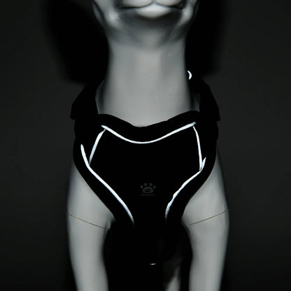 Breathable Puppy Harness Leash Set with Reflective Chest Strap Vest