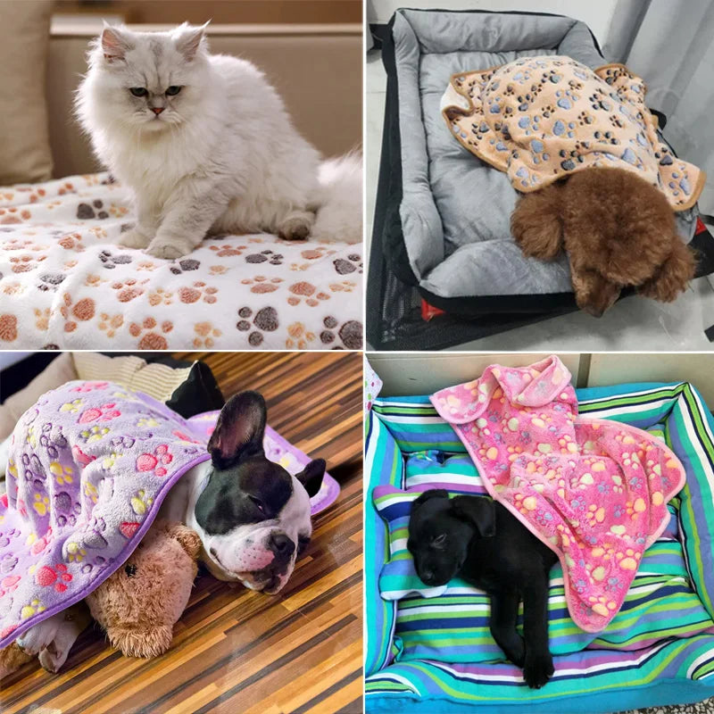 soft fluffy pet blanket with cute paw or elephant pattern for dogs and cats