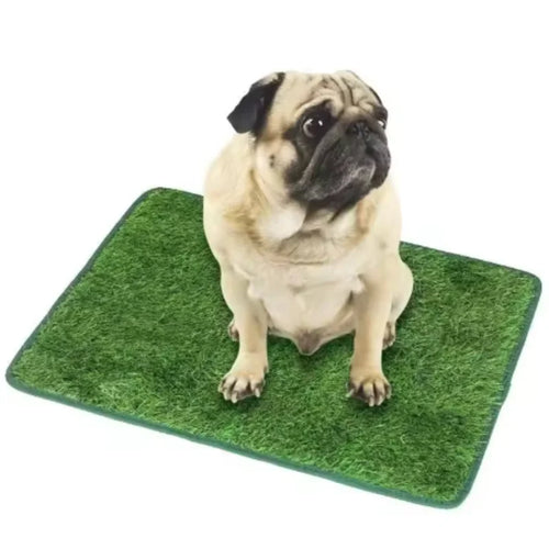 Reusable Artificial Grass Dog Toilet Mat for Balcony and Garden Use