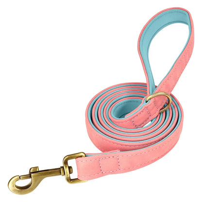 Padded Leather Dog Collar and Leash Set with Custom Nameplate Tag