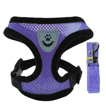 Adjustable Mesh Vest Harness & Leash - Breathable for Cats & Dogs