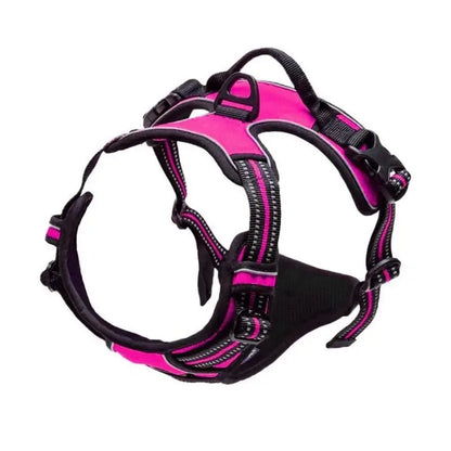Personalized Leather-Style Dog Harness Set – Comfortable Vest