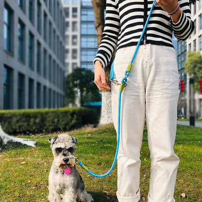 Hands-Free Reflective Nylon Dog Leash for Running and Walking Dogs