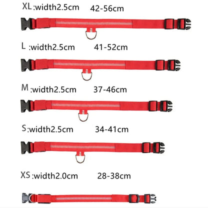 3 Modes Rechargeable LED Dog Collar - Adjustable Night Safety Glow Collar