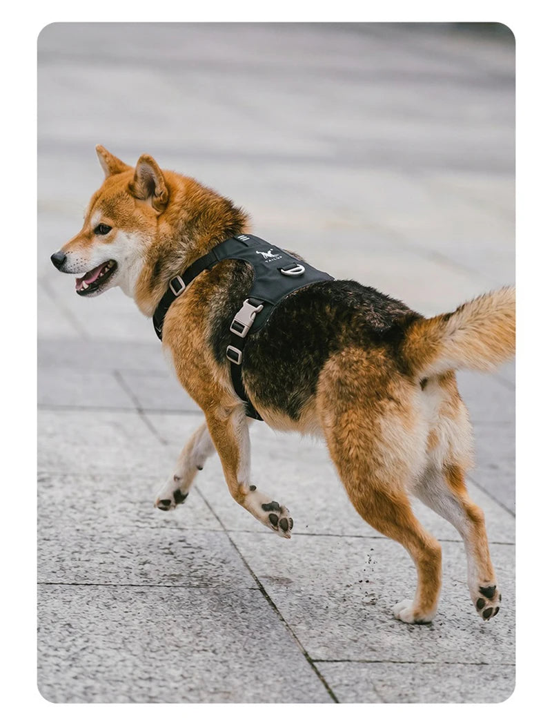 lightweight dog harness & leash set - anti-pull, escape-proof fit