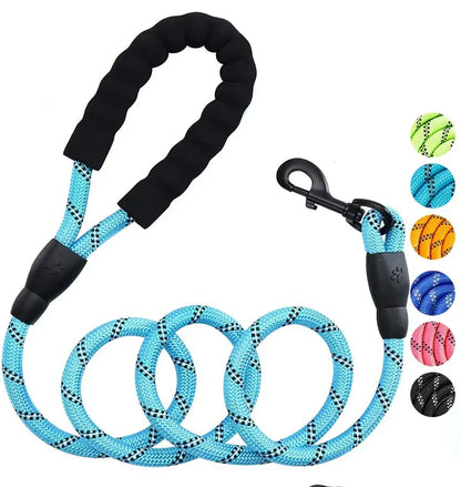 Reflective Nylon Dog Leash – Padded No-Slip Handle, Adjustable Fit