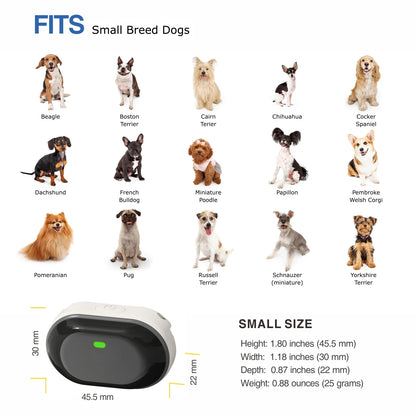 Rechargeable Waterproof Dog Training Collar, Remote Control, 5-120lbs
