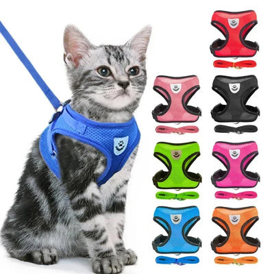 Adjustable Mesh Vest Harness & Leash - Breathable for Cats & Dogs