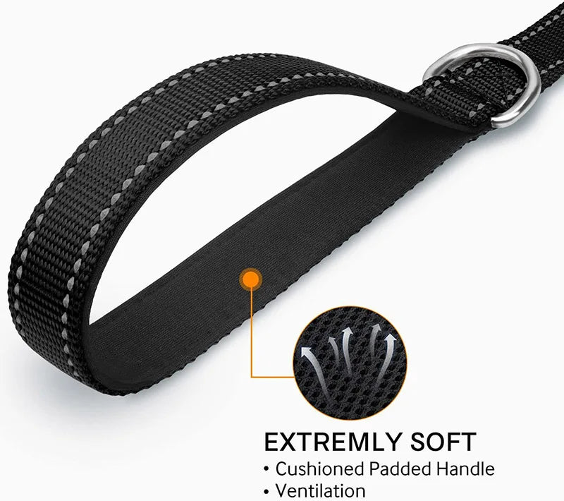 reflective nylon dog leash with comfortable handle for night walks