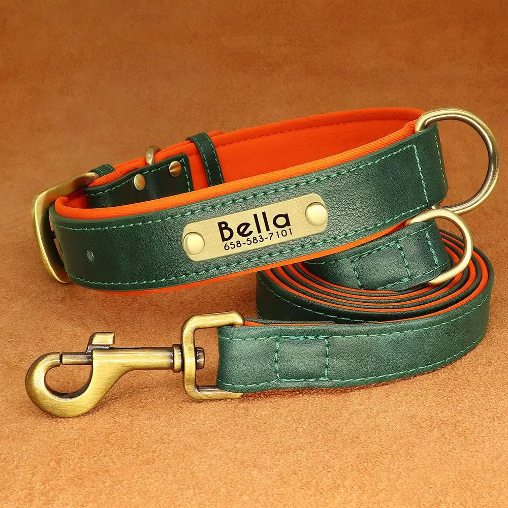 padded leather dog collar and leash set with custom nameplate tag
