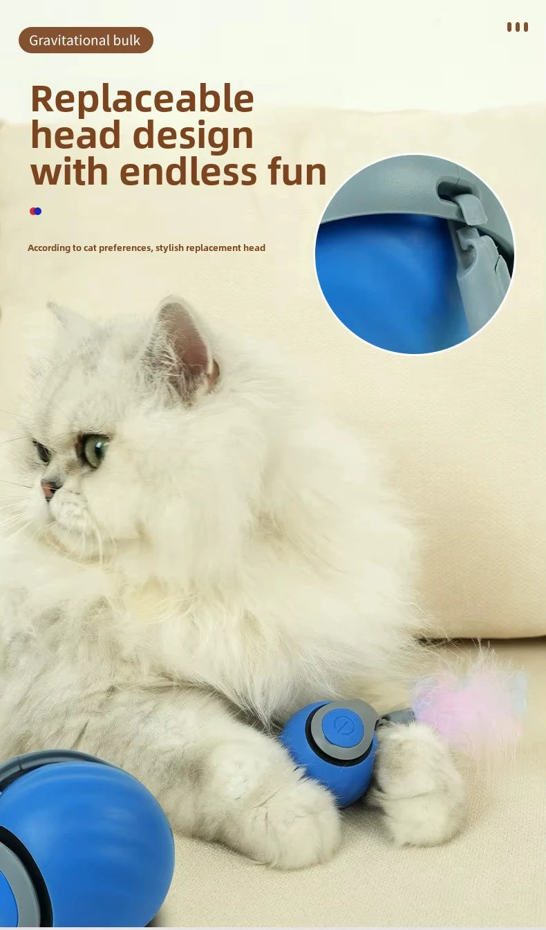 speedy tail 2.0 interactive cat ball toy with dual-speed modes