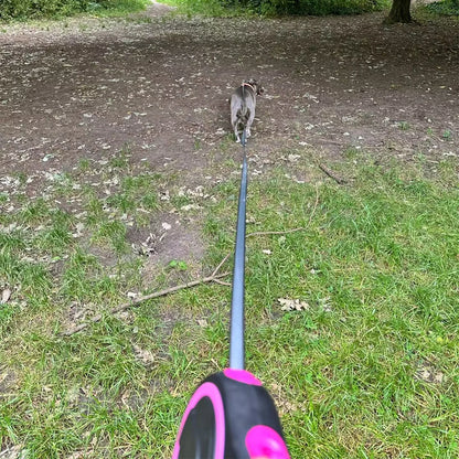 8M Retractable Dog Leash - Extendable Training Lead for Dogs & Cats