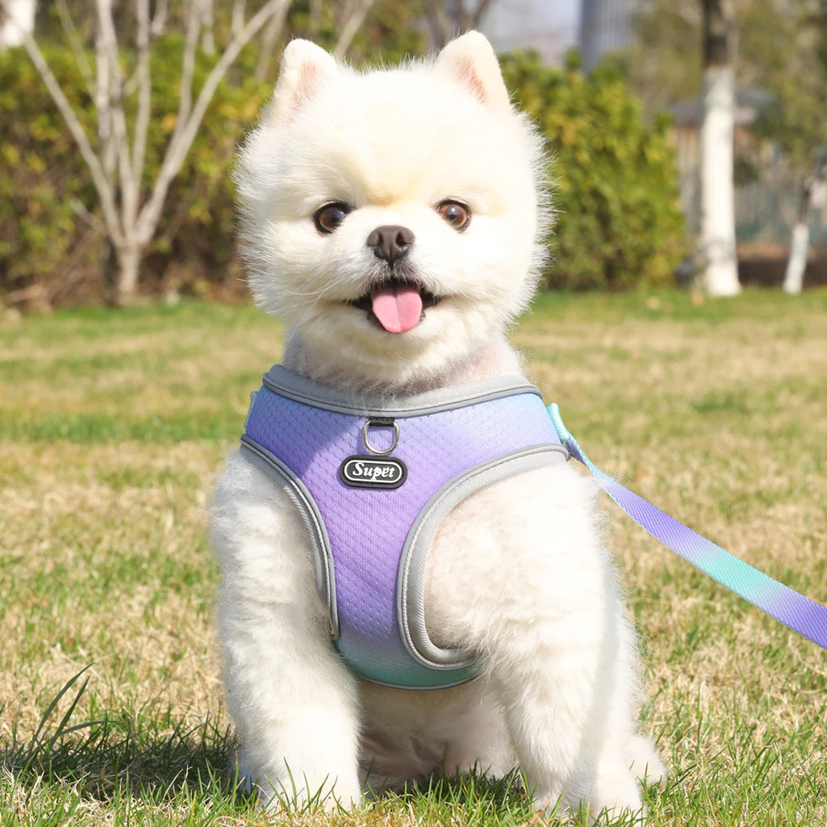step-in dog harness with reflective, breathable design, adjustable
