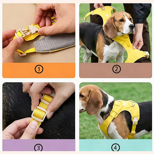 Lightweight Dog Harness & Leash Set - Anti-Pull, Escape-Proof Fit