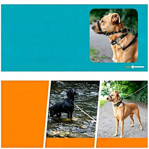 2-in-1 Adjustable Training Dog Leads with Anti-Bite Muzzle
