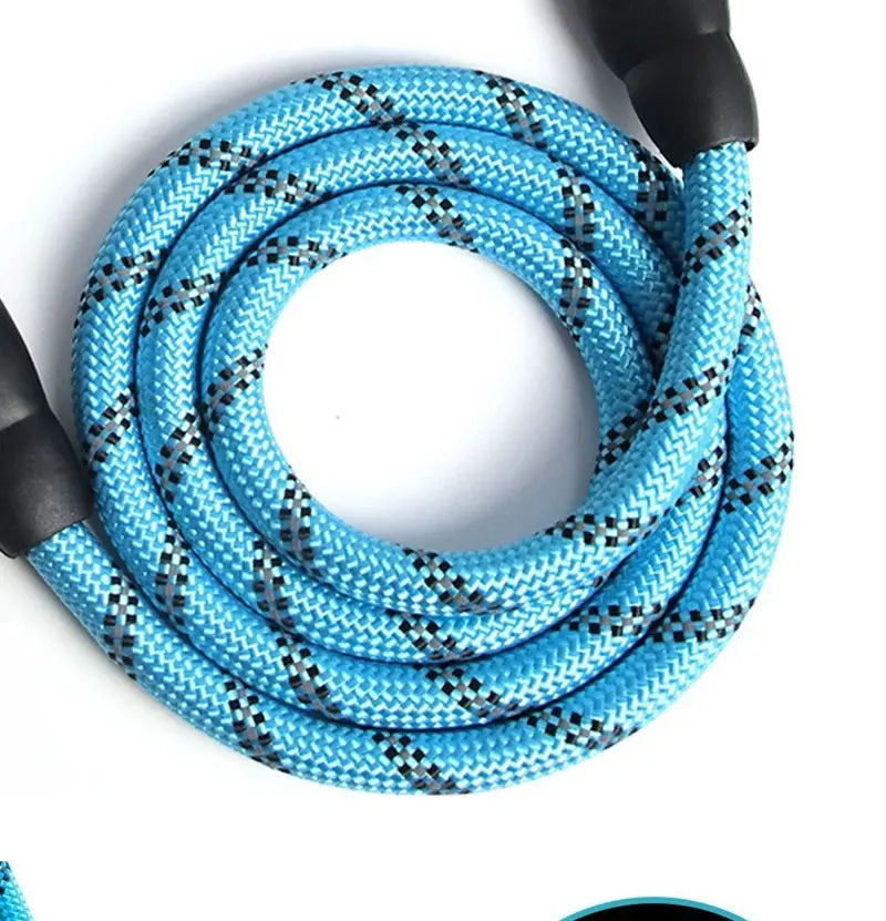 reflective nylon dog leash – padded no-slip handle, adjustable fit
