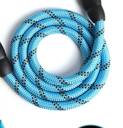 Reflective Nylon Dog Leash – Padded No-Slip Handle, Adjustable Fit