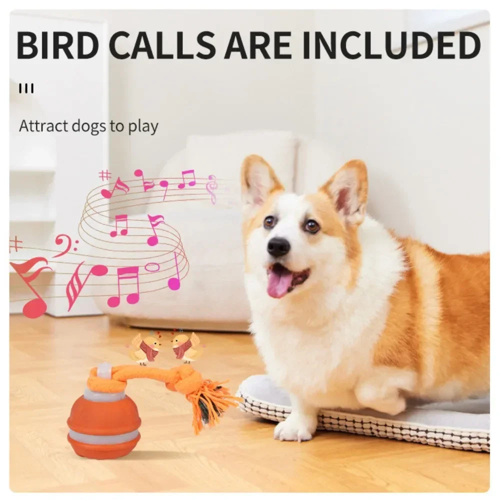 interactive rolling dog ball, usb rechargeable motion activated toy
