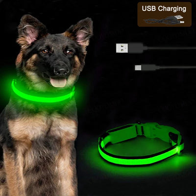 3 Modes Rechargeable LED Dog Collar - Adjustable Night Safety Glow Collar