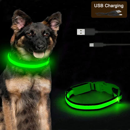 3 Modes Rechargeable LED Dog Collar - Adjustable Night Safety Glow Collar