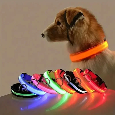 LED Glow Dog Collar - Battery-Powered Night Walking Safety Collar